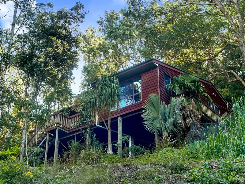 An image of a cabin in the woods in Australia.